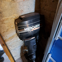 Fuoribordo Mercury America 25 CV