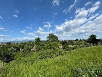 Zagarolo terreno agricolo lievemente scosceso