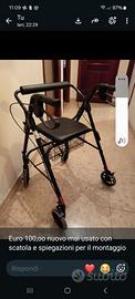 Carrello deambulatore