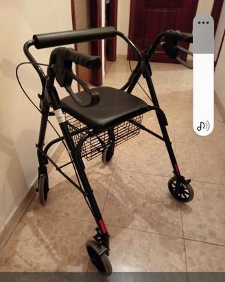 Carrello deambulatore