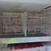 gabbia cova x canarini/altri uccellini 