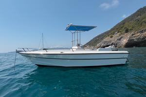 Barca open pesca famiglia suzuki 140 4T fuoribordo