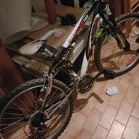 Mountain bike fs720381