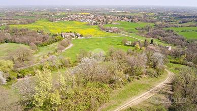 TER. AGRICOLO A ALBINEA