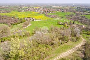 TER. AGRICOLO A ALBINEA