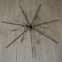 Ragno decorativo da parete in ferro battuto