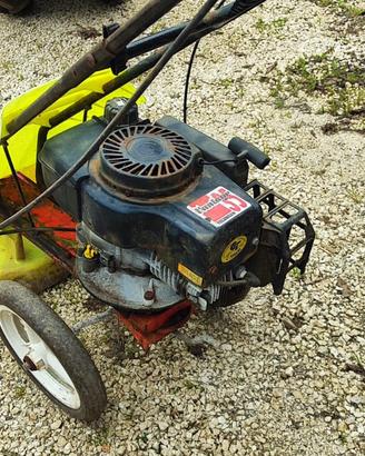 Decespugliatore su ruote