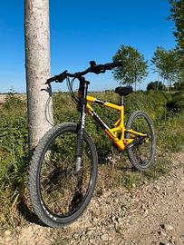 Cannondale Jekyll