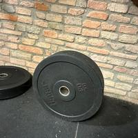 Palestra