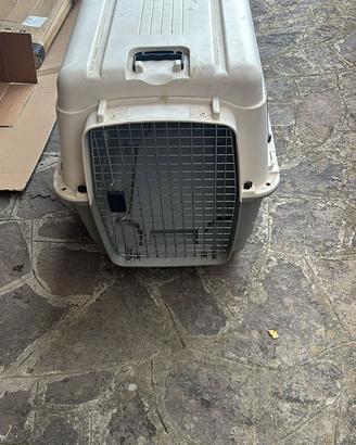 Trasportino animali