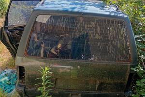 espace 1 trattore fiat relitti