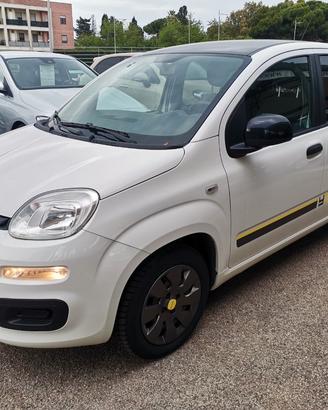 Fiat Panda 1.2 Young 69cv
