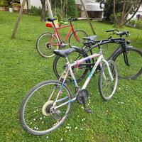 Biciclette usate funzionanti 
