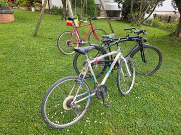 Biciclette usate funzionanti 