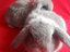 Immagine 1