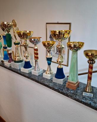 Lotto di Coppe da Premiazione Vintage - Vari Stili