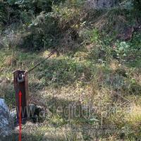 Appartamento Andrate [A4314244]