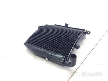 HONDA CBR RR ABS KM0 600 RADIATORE ACQUA RAFFREDDA