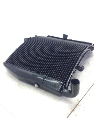HONDA CBR RR ABS KM0 600 RADIATORE ACQUA RAFFREDDA