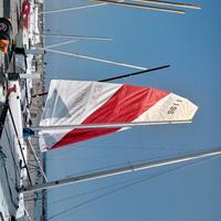 Catamarano Top Cat 3