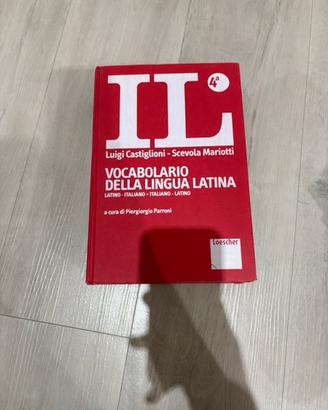 Dizionario