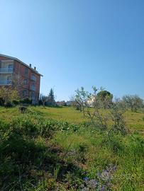 Terreno edificabile 1736 mq