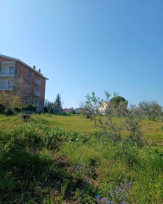 Terreno edificabile 1736 mq