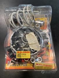 Variatore Malossi Multivar 5115308