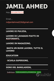 Tutto il lavoro,Sarebbe un buon lavoro