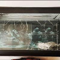 Acquario