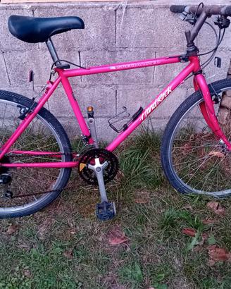 Mountain bike ragazza