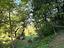 Immagine 22