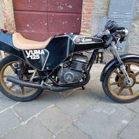 Aspes Yuma monoscocca 125