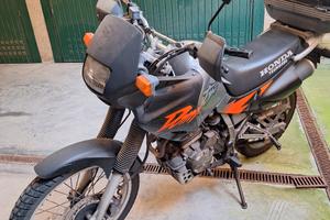 honda dominator 