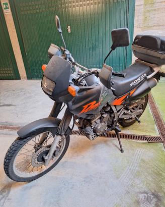 honda dominator 