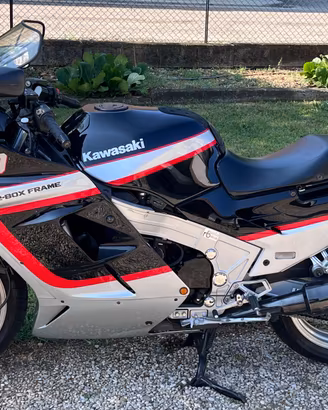 Kawasaki ZX 10 ZX10 Tomcat