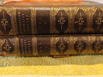 2 antichi libri rari da collezione