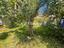 Immagine 28