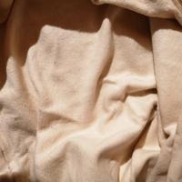 Felpa Elisabetta Franchi tg 46