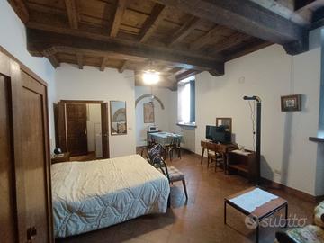 Monolocale Mantova