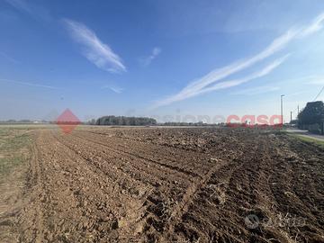 Terreno Agricolo Isola Rizza [Cod. rif 3389363VCG]