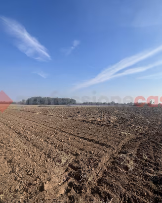 Terreno Agricolo Isola Rizza [Cod. rif 3389363VCG]