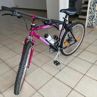 Bicicletta MTB GIANT TERRAGO colore particolare