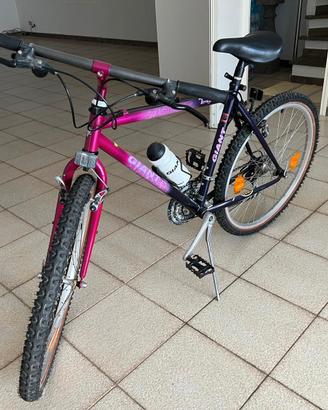 Bicicletta MTB GIANT TERRAGO colore particolare