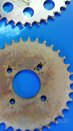 Corona califfone ,Atal green