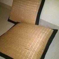 Due cuscini arredo