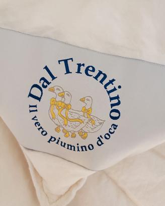 Piumino d'oca per letto matrimoniale