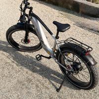 E-BIKE Duotts F26Lite 960W