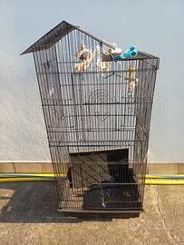 Voliera per uccelli