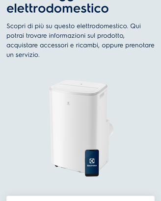 PINGUINO/ Refrigeratore portatile Electrolux